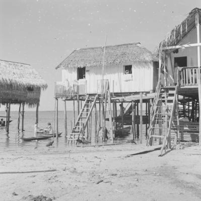 Palafitas flutuantes