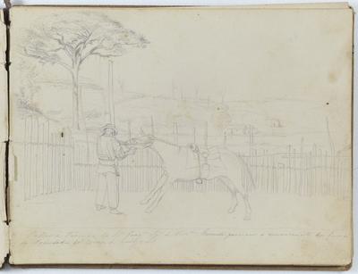 Passeio á Fazenda do S.r Joaq.m Ig.o de Vasc.los, para ver o amansamento dos burros da Sociedade dos Carros de rodagem