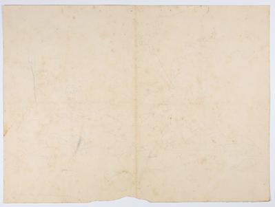 Esquisse du Macaco Branco