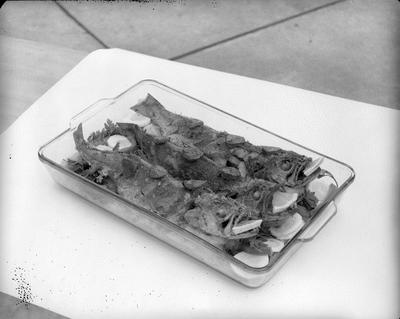 Campanha publicitária da agência J. Walter Thompson para Pyrex - peixes