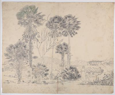 Carandás, Sítio do Cacúnda