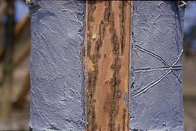 Série Xingu - Pintura em madeira para cerimônia do Kuarup (cerimônia dos mortos)