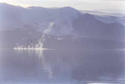 Aventuras de Igor na Antártida