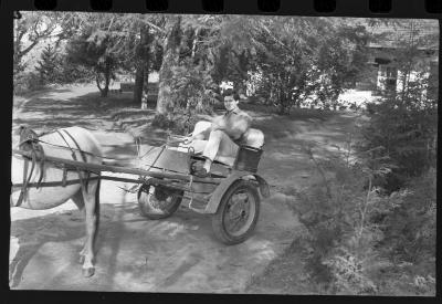 Sérgio Prado na charrete