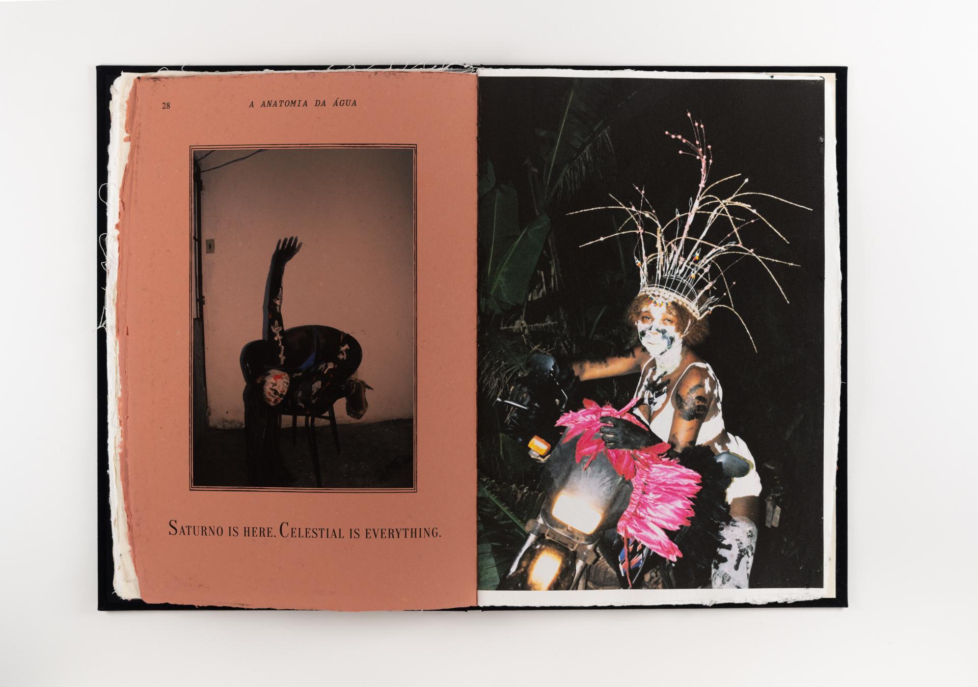 A anatomia da água: livro 1 da série Corpoflor