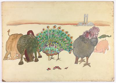 Constituição - O anteprojeto