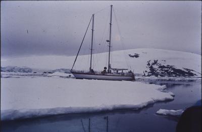Aventuras de Igor na Antártida