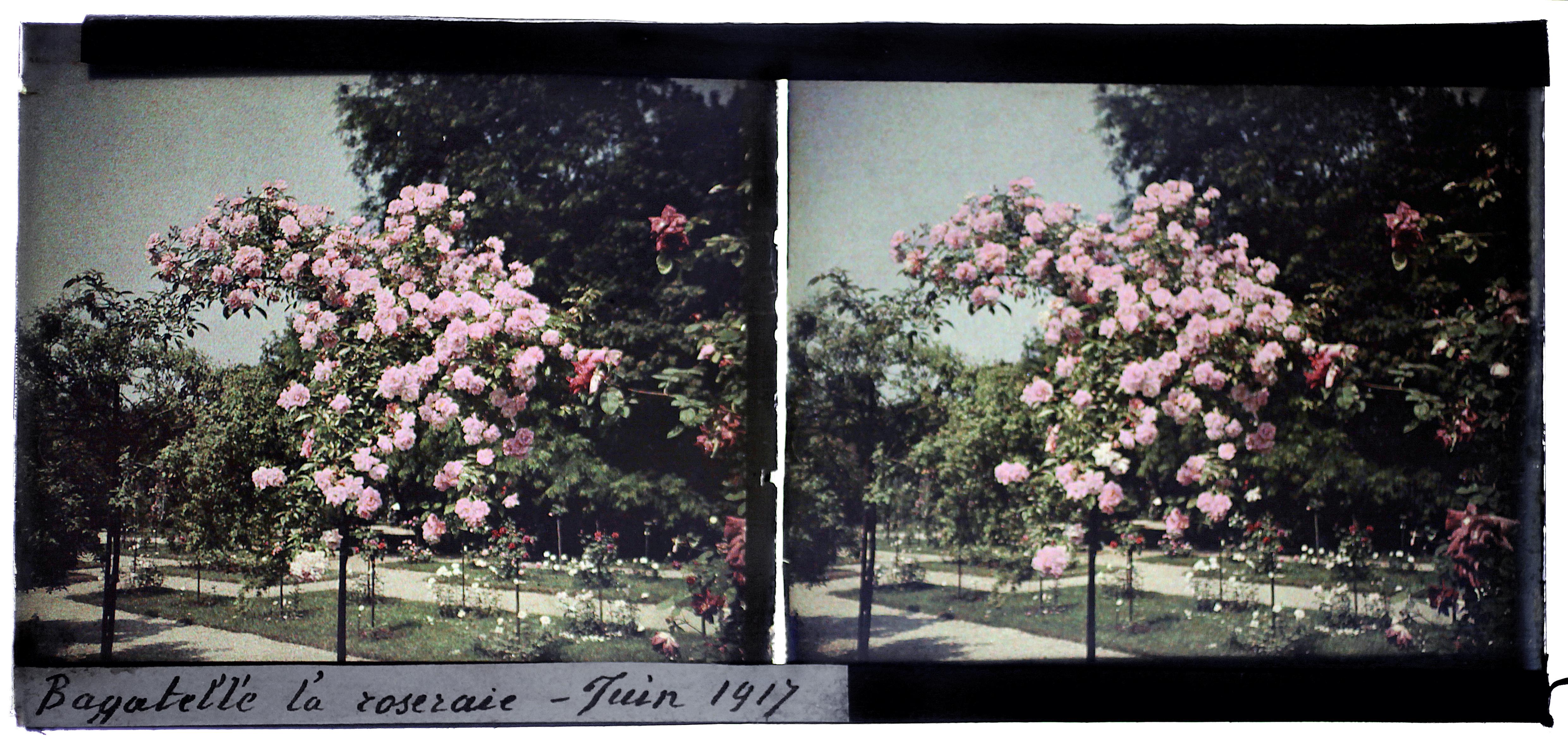 Jardins de Bagatelle