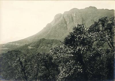 Vista do morro do Marumbi
