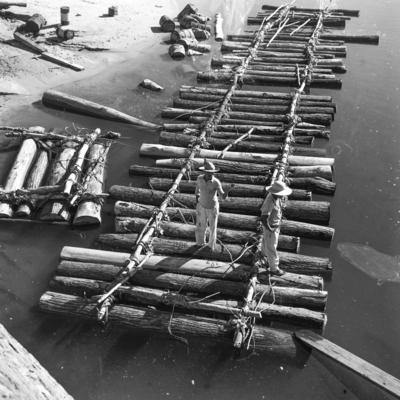 Tucuruí, Rio Tocantins