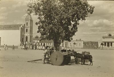 Proximidades do rio São Francisco, no trajeto entre Pirapora (MG) e Juazeiro (BA)