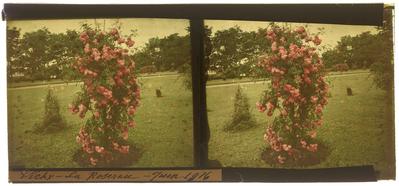 Vichy - O jardim de rosas