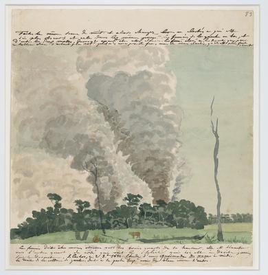 Estudo de uma queimada de roça ao meio-dia