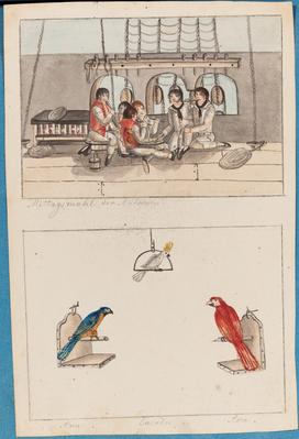 Mittagsmahl der Matrasen / tra. Cacadu. tra.