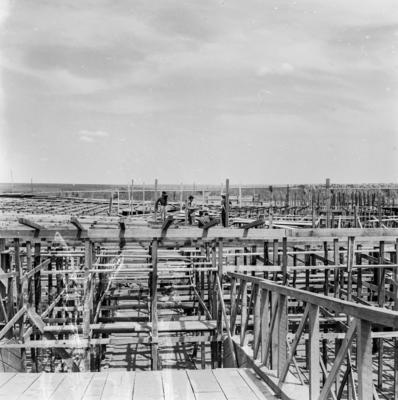 Visitas presidenciais