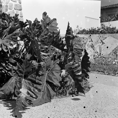 Painel de Burle Marx na residência de Walther Moreira Salles, projeto de Olavo Redig de Campos