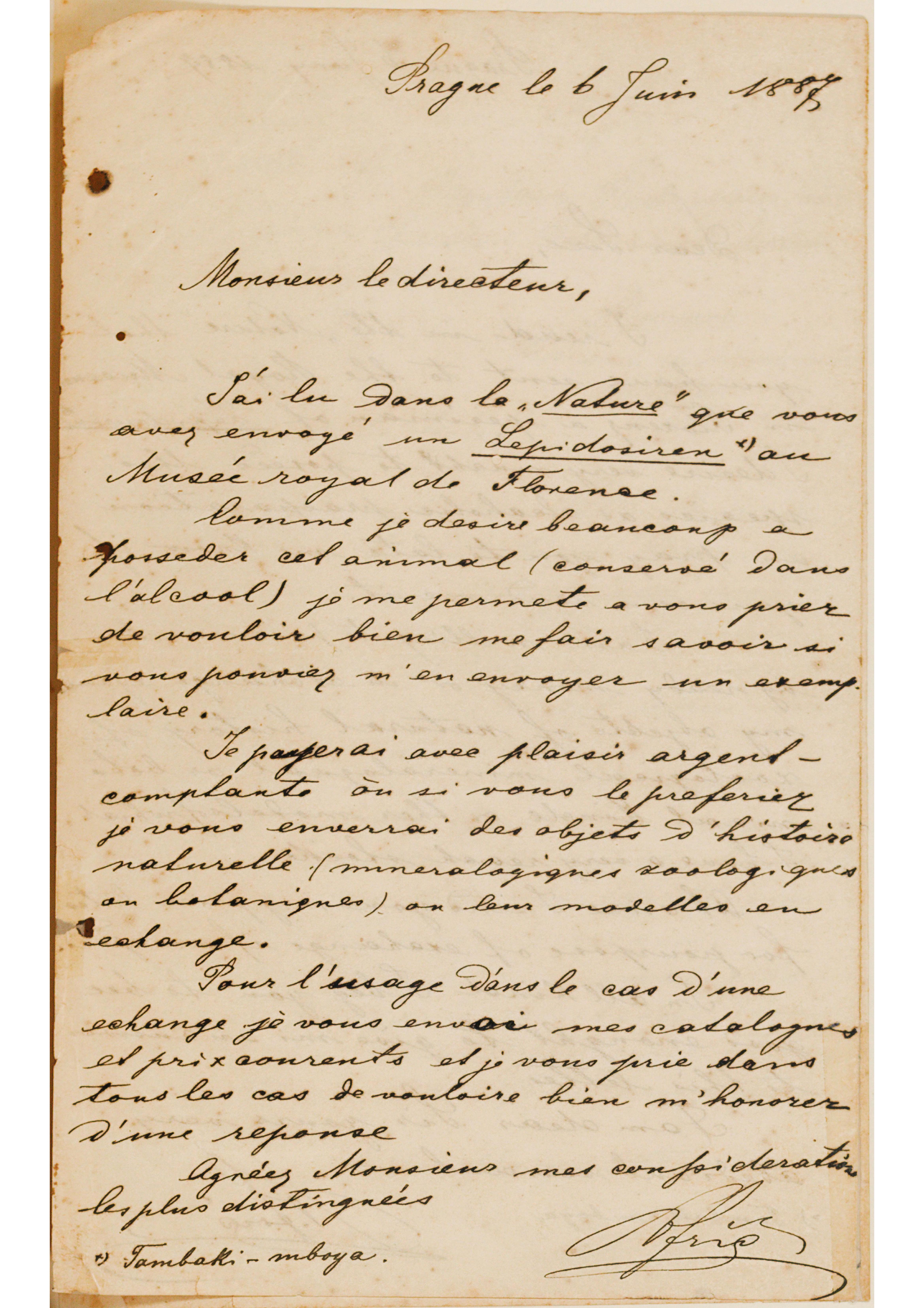 [Carta de V. Fric a João Barbosa Rodrigues, escrita de Praga em 6 de junho de 1887]