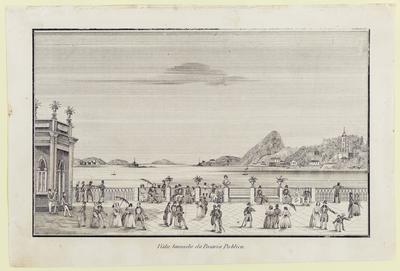 Vista tomada do Passeio Publico