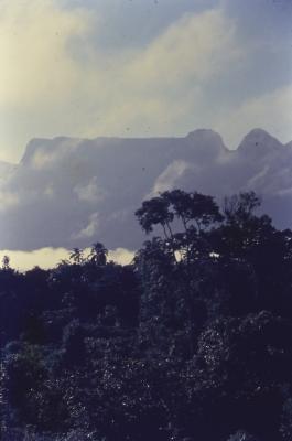 Expedição Pico da Neblina