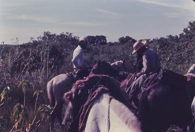 Pantanal. À esquerda está Jorge Bodanzky