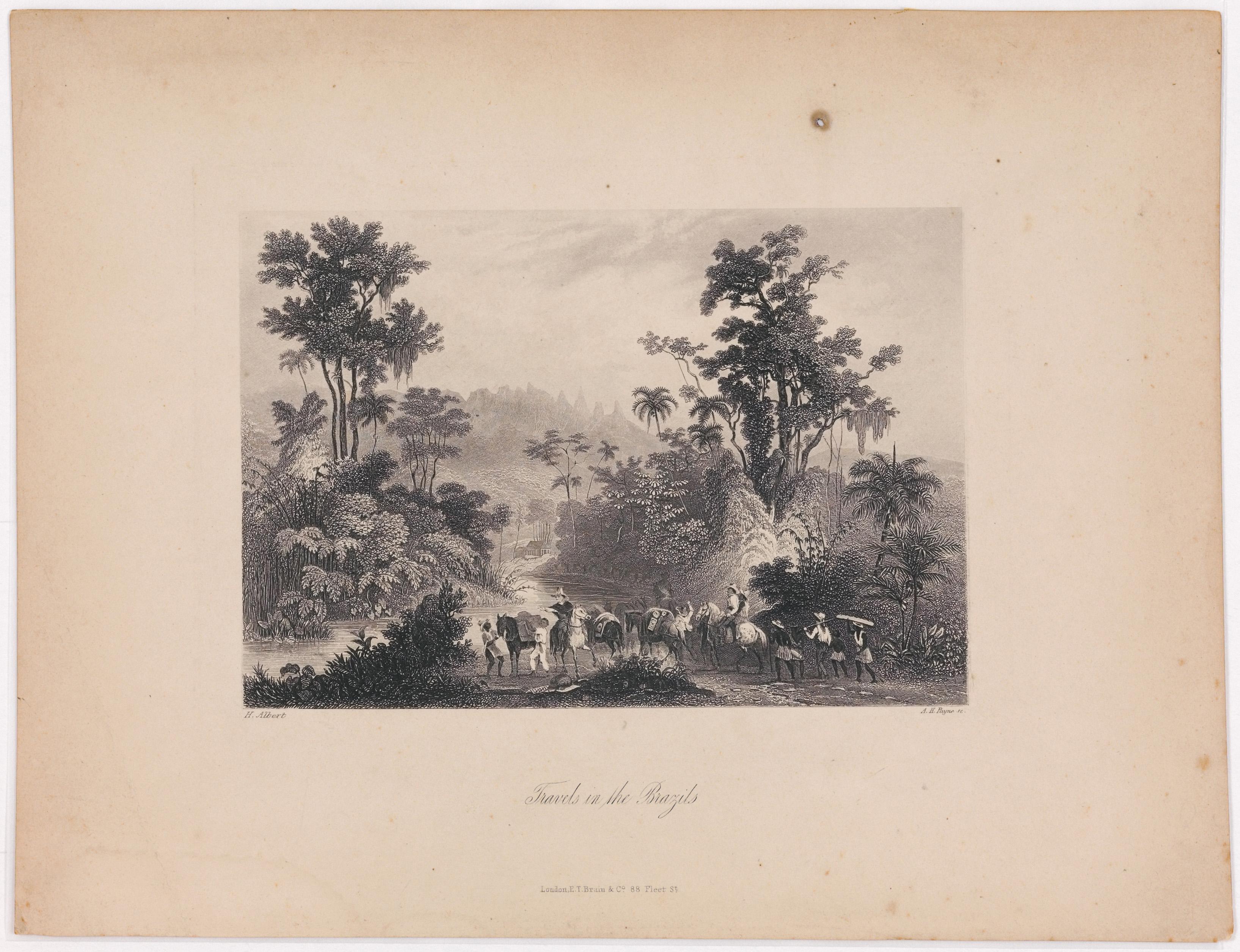 Travels in the Brazils