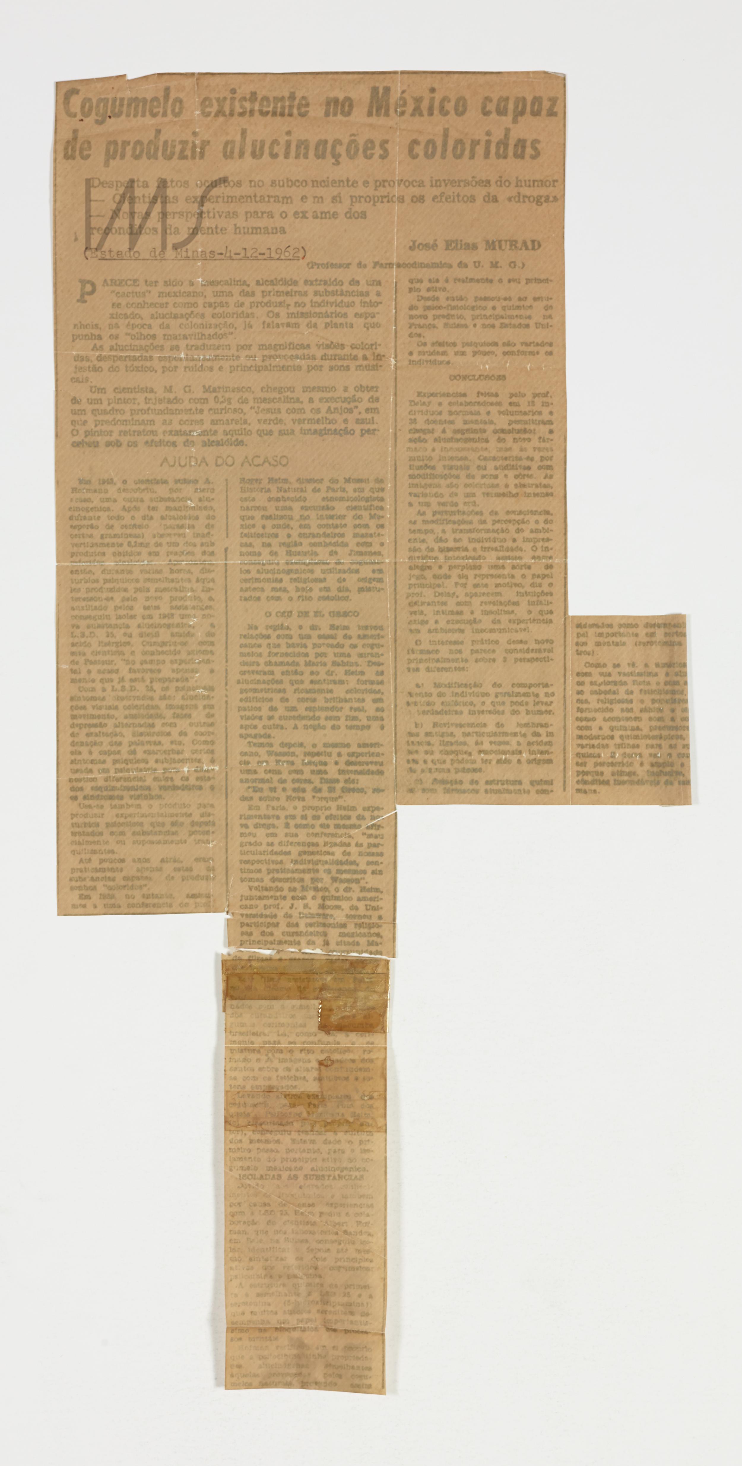 Cogumelo existente no México capaz de produzir alucinações coloridas