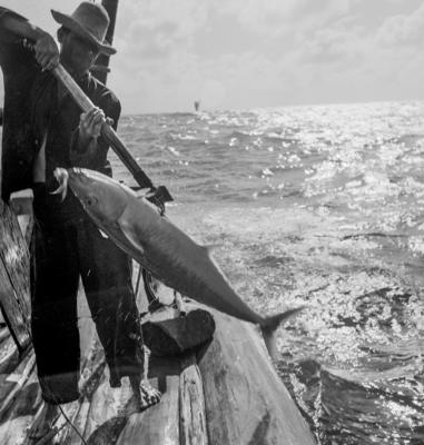 Jangadas e jangadeiros