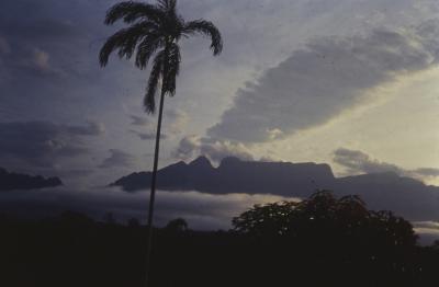 Expedição Pico da Neblina
