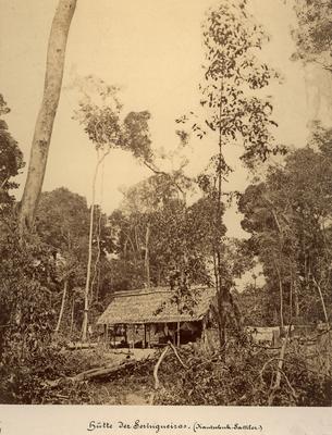Habitação de um seringueiro na Selva Amazônica