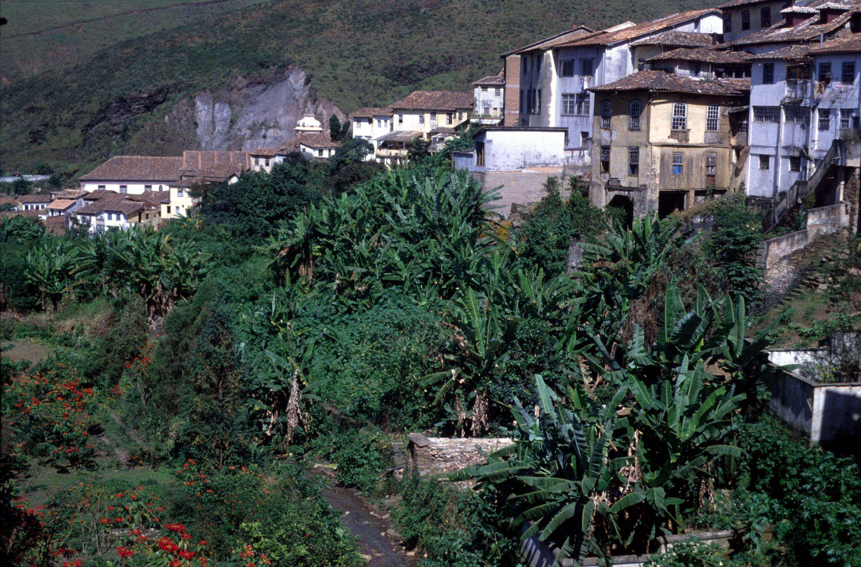 Casas em meio à vegetação