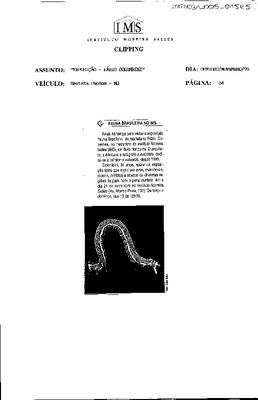 Fauna Brasileira no IMS