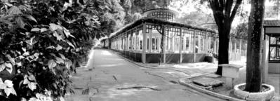 Parque da Água Branca