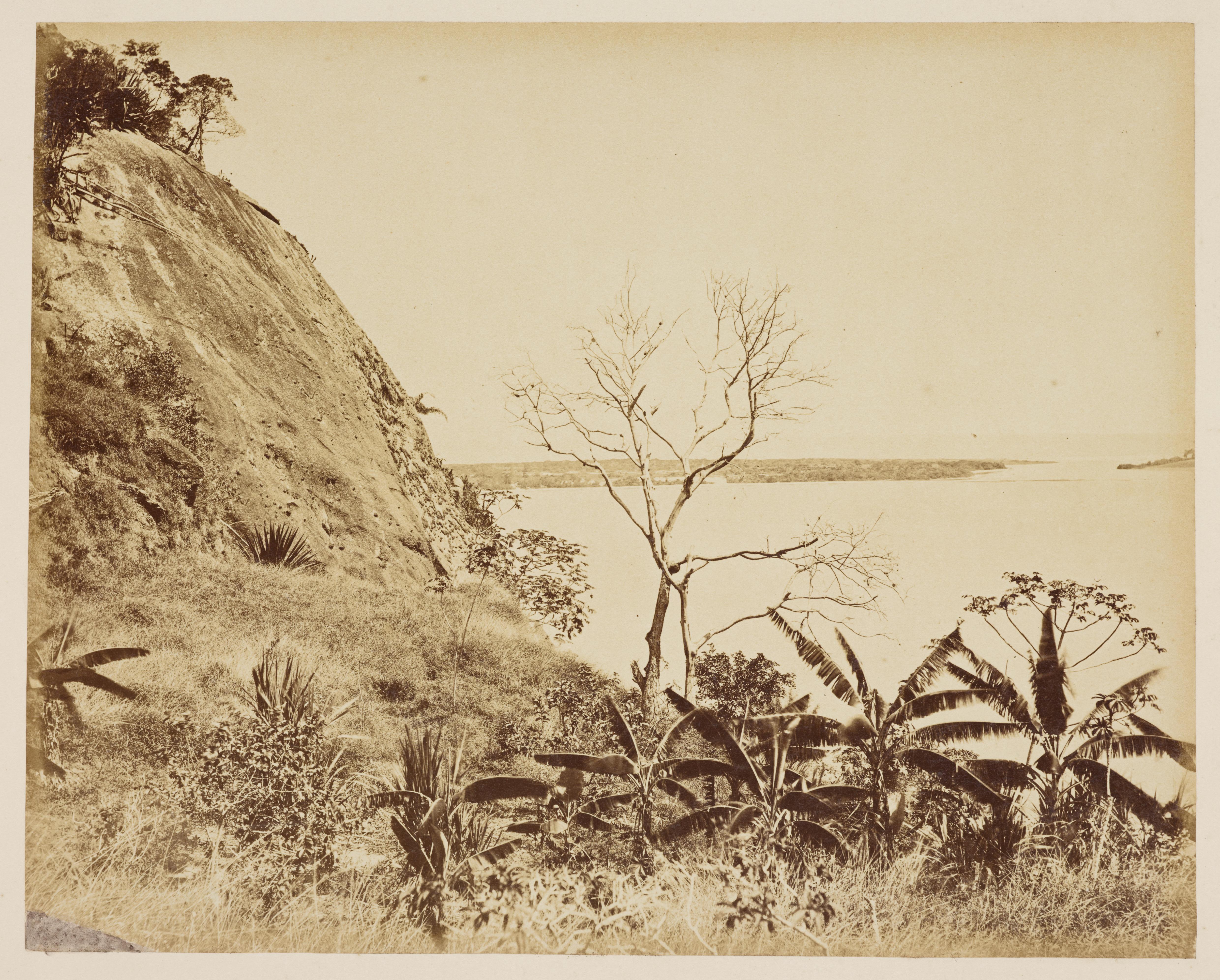 Lagoa Rodrigo de Freitas