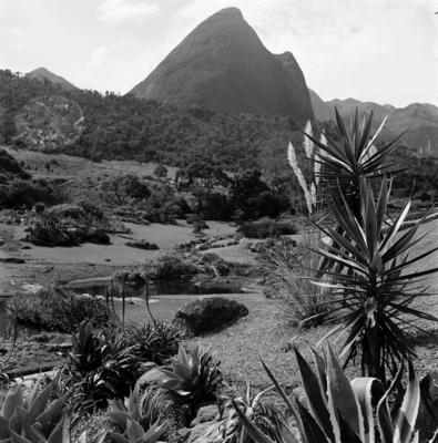 Residência de Odette Monteiro, projeto do arquiteto Wladimir Alves de Souza e Burle Marx