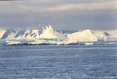 Iceberg em forma de cisne
