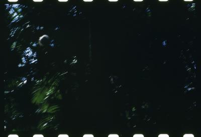 Projeto "Navegar Amazônia"