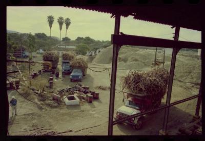 Produção de filme institucional sobre usinas de açúcar