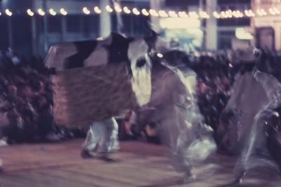 Bumba meu boi na festa de Terno de Reis