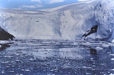 Aventuras de Igor na Antártida