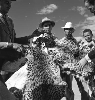 Vendedores ambulantes