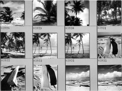 Jangadas e jangadeiros