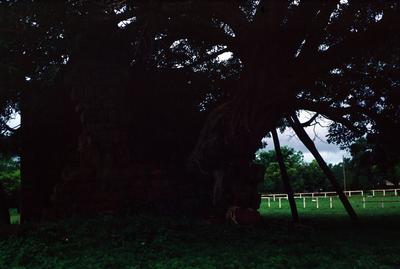Ruínas de São Nicolau