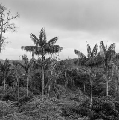 Refinaria da Petrobras