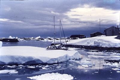 Aventuras de Igor na Antártida