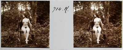 Estereoscopia erótica