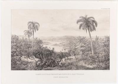 (Campos pontilhados de mata junto ao Rio das Velhas, Província de Minas [Gerais])