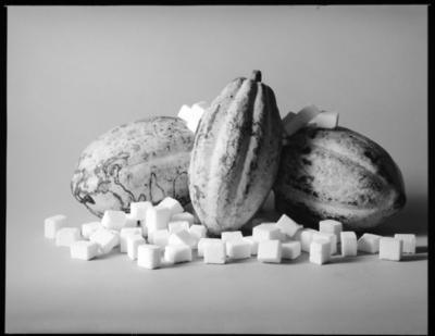 Campanha publicitária da Probras para chocolates Chadler