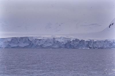 Aventuras de Igor na Antártida