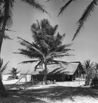 Jangadas e jangadeiros