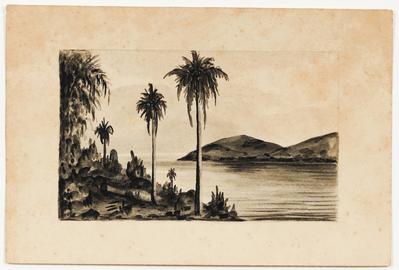[Baía com palmeiras em primeiro plano]